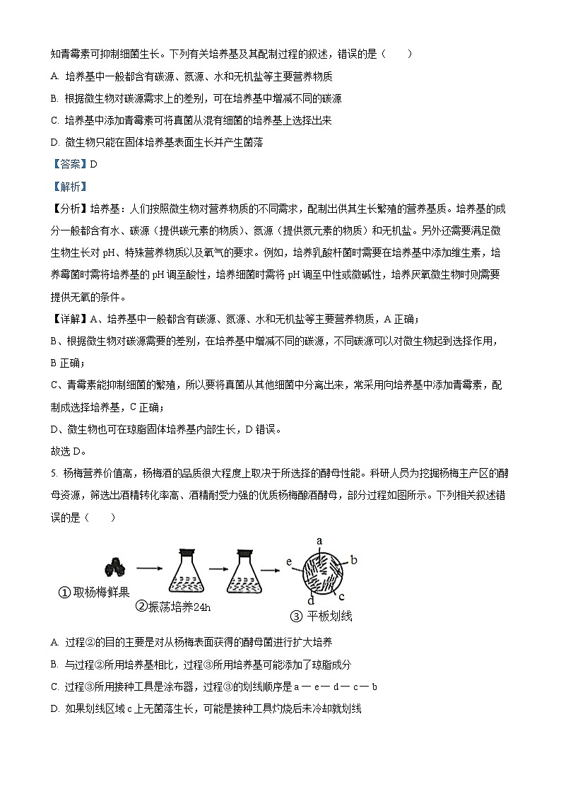 甘肃省武威市2023-2024学年高二下学期期中考试生物试卷03