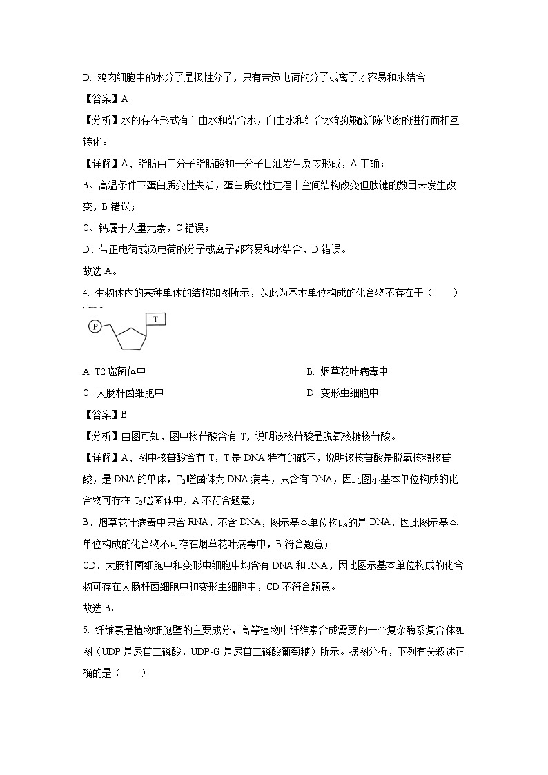 生物：河南省驻马店市经济开发区2023-2024学年高二下学期5月月考试题（解析版）第3页