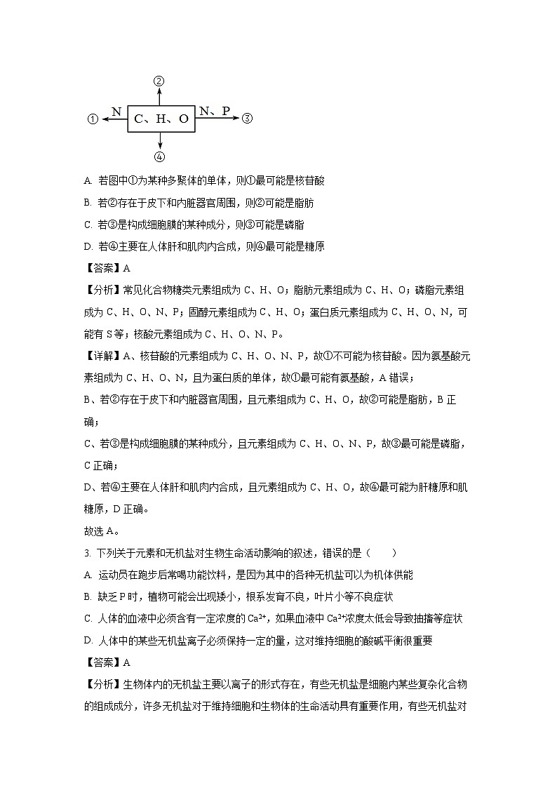 生物：河北省承德市2023-2024学年高二下学期5月联考试题（解析版）02