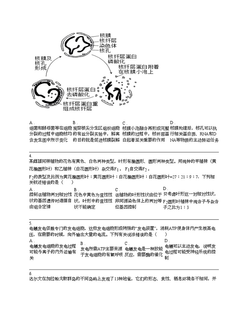 贵州省贵阳市第六名校2024届高三下学期一模考试生物试卷02