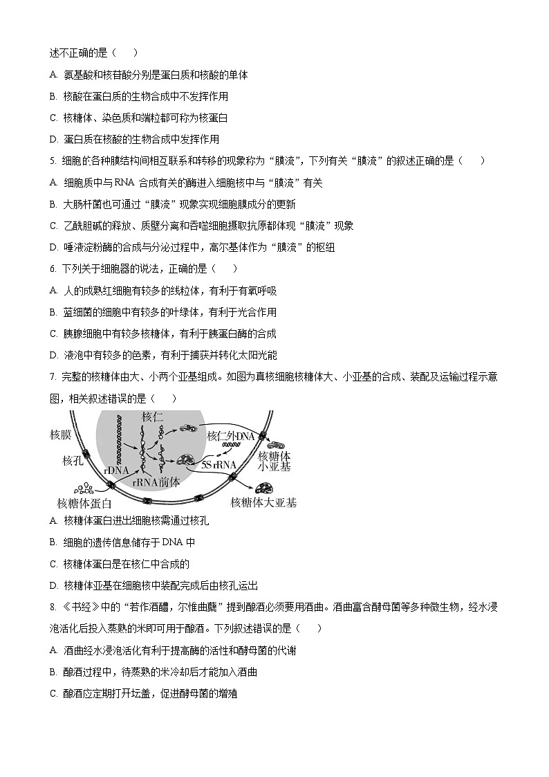 东莞麻涌中学、塘厦中学、七中、济川中学四校联考高二下学期5月期中考试生物含解析02
