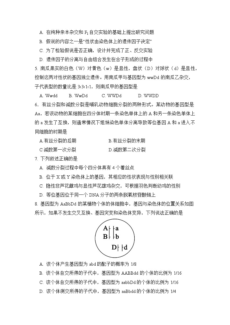 2024眉山东坡区高一下学期5月期中考试生物含答案02