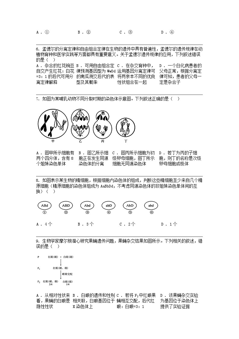 广东省佛山市S6高质量发展联盟2023-2024学年高一下学期生物期中联考试卷02