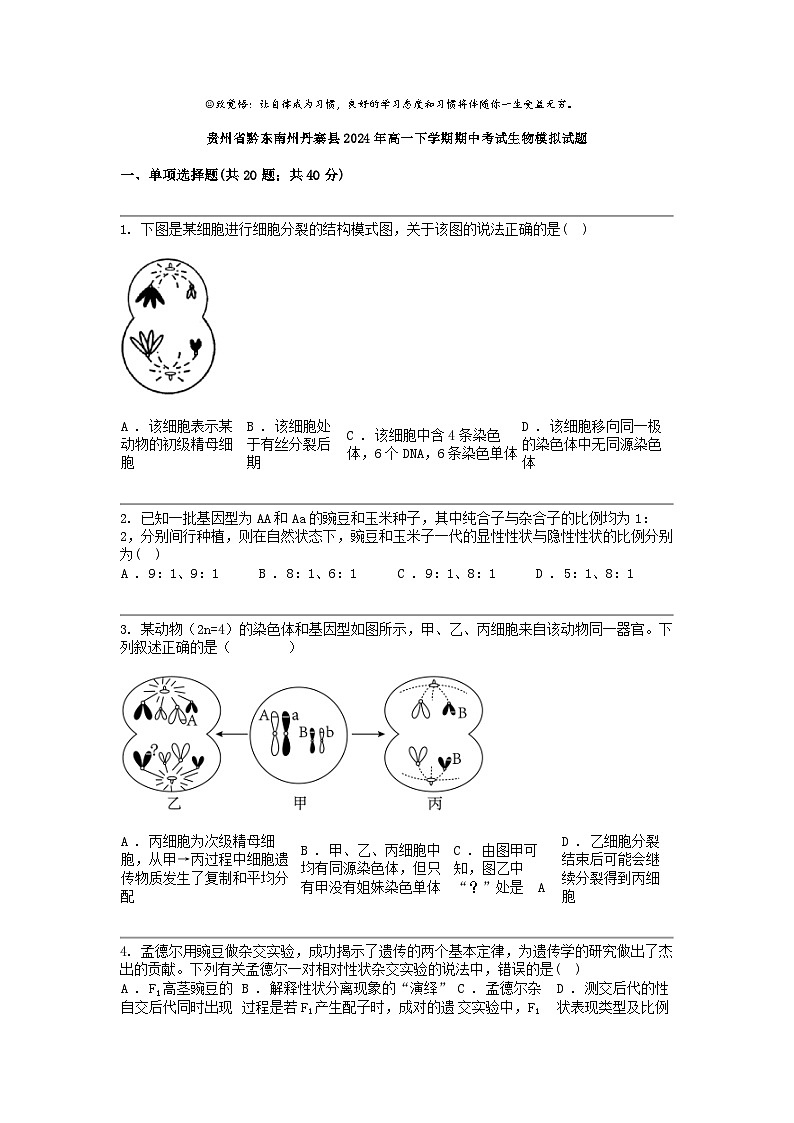 贵州省黔东南州丹寨县2024年高一下学期期中考试生物模拟试题第1页