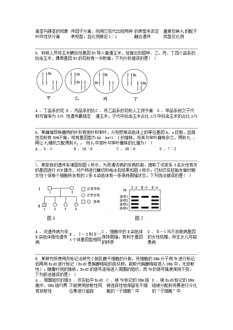 贵州省黔东南州丹寨县2024年高一下学期期中考试生物模拟试题第2页