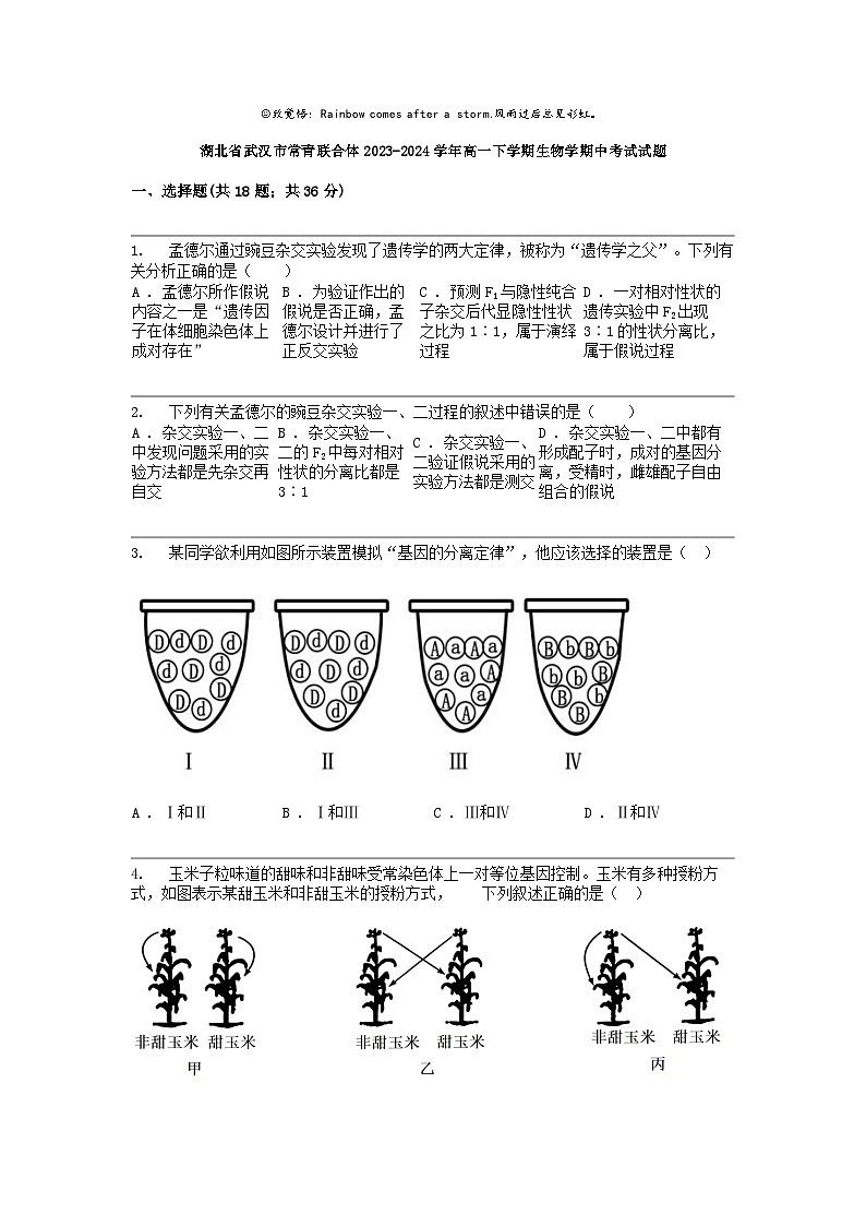 湖北省武汉市常青联合体2023-2024学年高一下学期生物学期中考试试题01