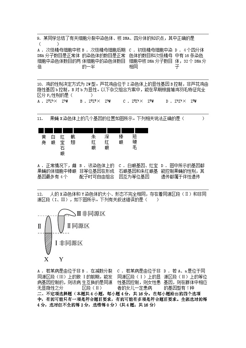 湖南省邵阳市邵东市第四中学2023-2024学年高一下学期生物期中考试试卷02