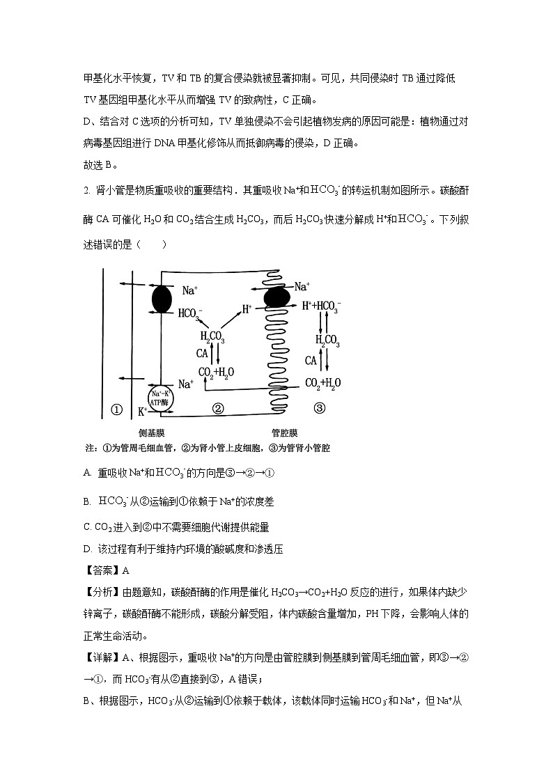 生物：2024届重庆市部分学校高三考前最后一卷（解析版）第2页