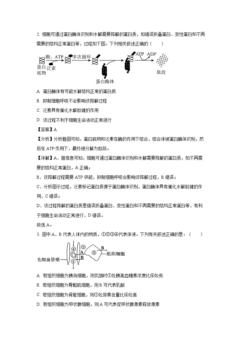 生物：2024年东北三省四校高三下学期第四次模拟考试（解析版）第2页