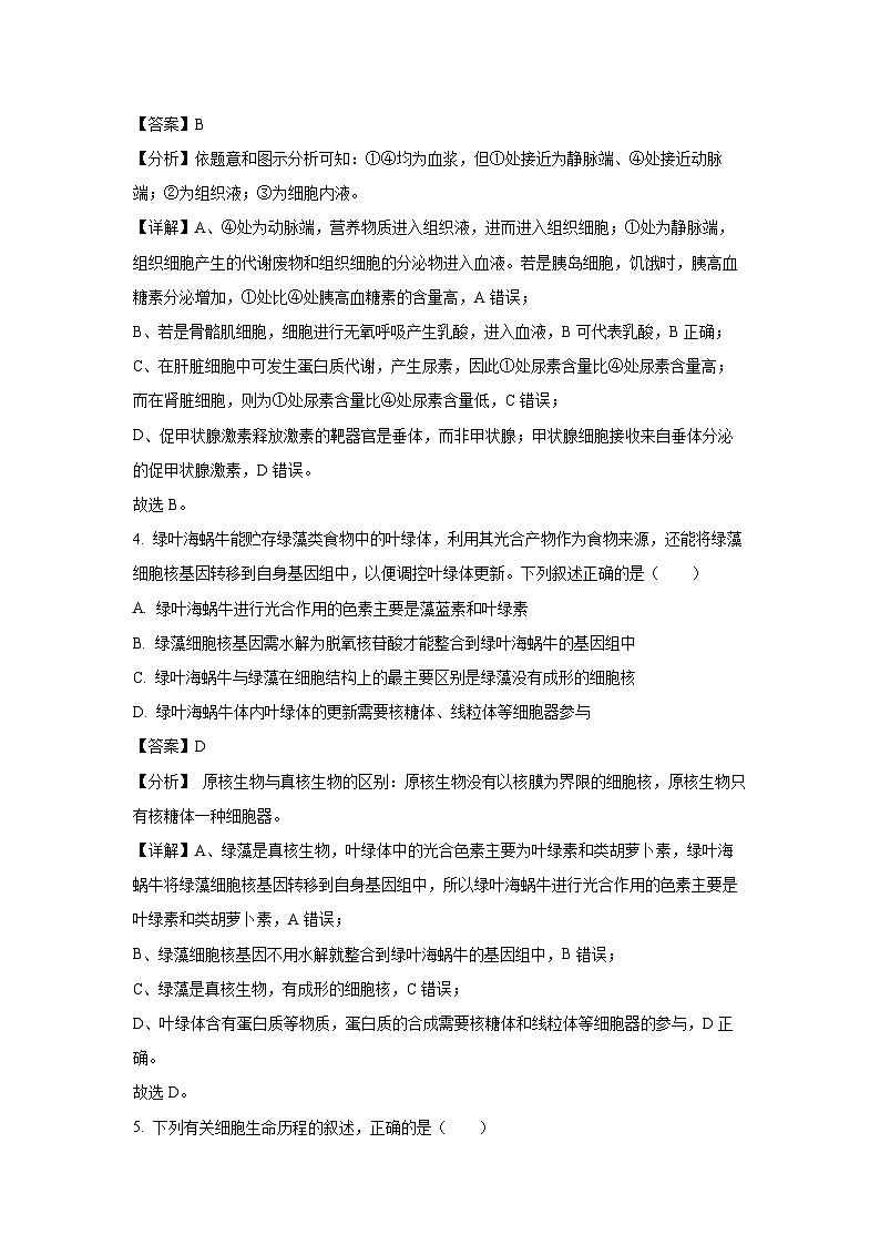 生物：2024年东北三省四校高三下学期第四次模拟考试（解析版）第3页