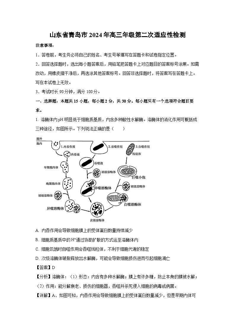 生物：山东省青岛市2024年高三年级第二次适应性检测（解析版）01
