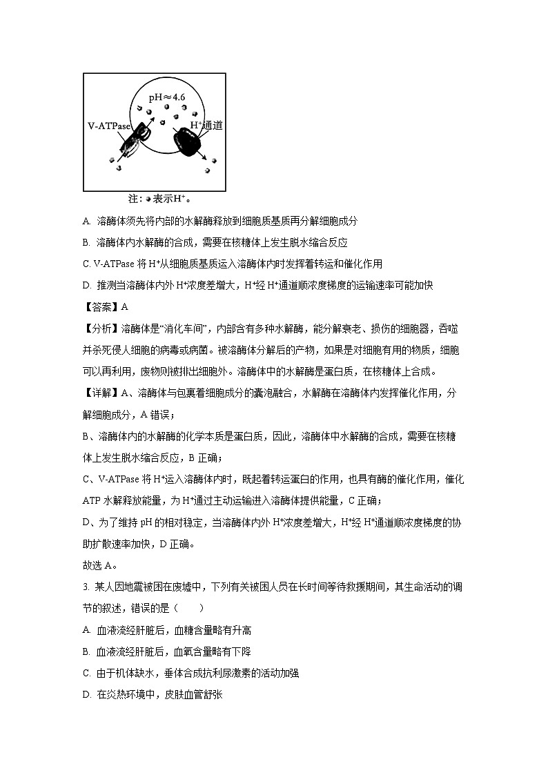 生物：2024届河南省百所名校高三下学期仿真模拟大联考（解析版）第2页
