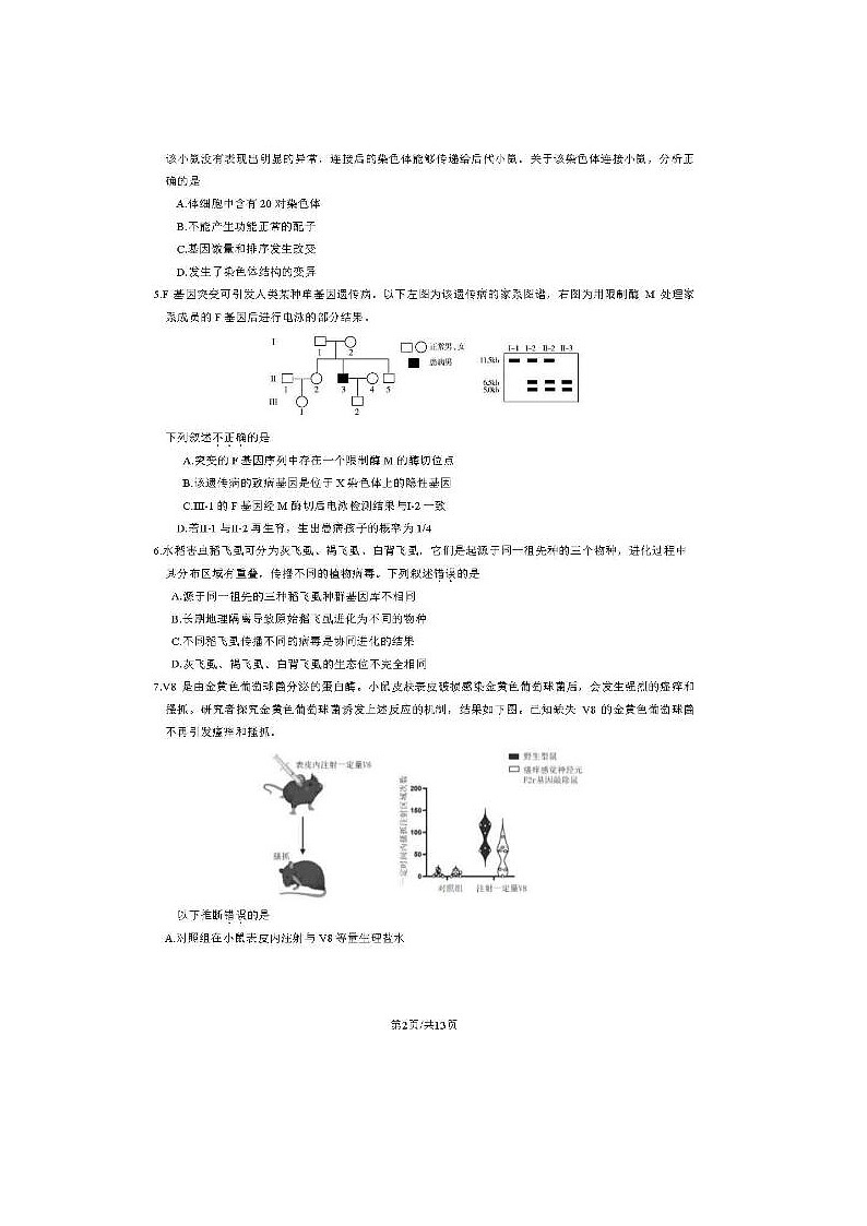 2024届北京朝阳高三一模生物试题第2页