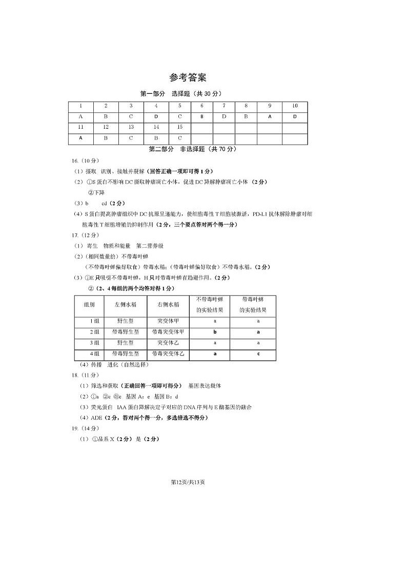 2024届北京朝阳高三一模生物试题答案第1页