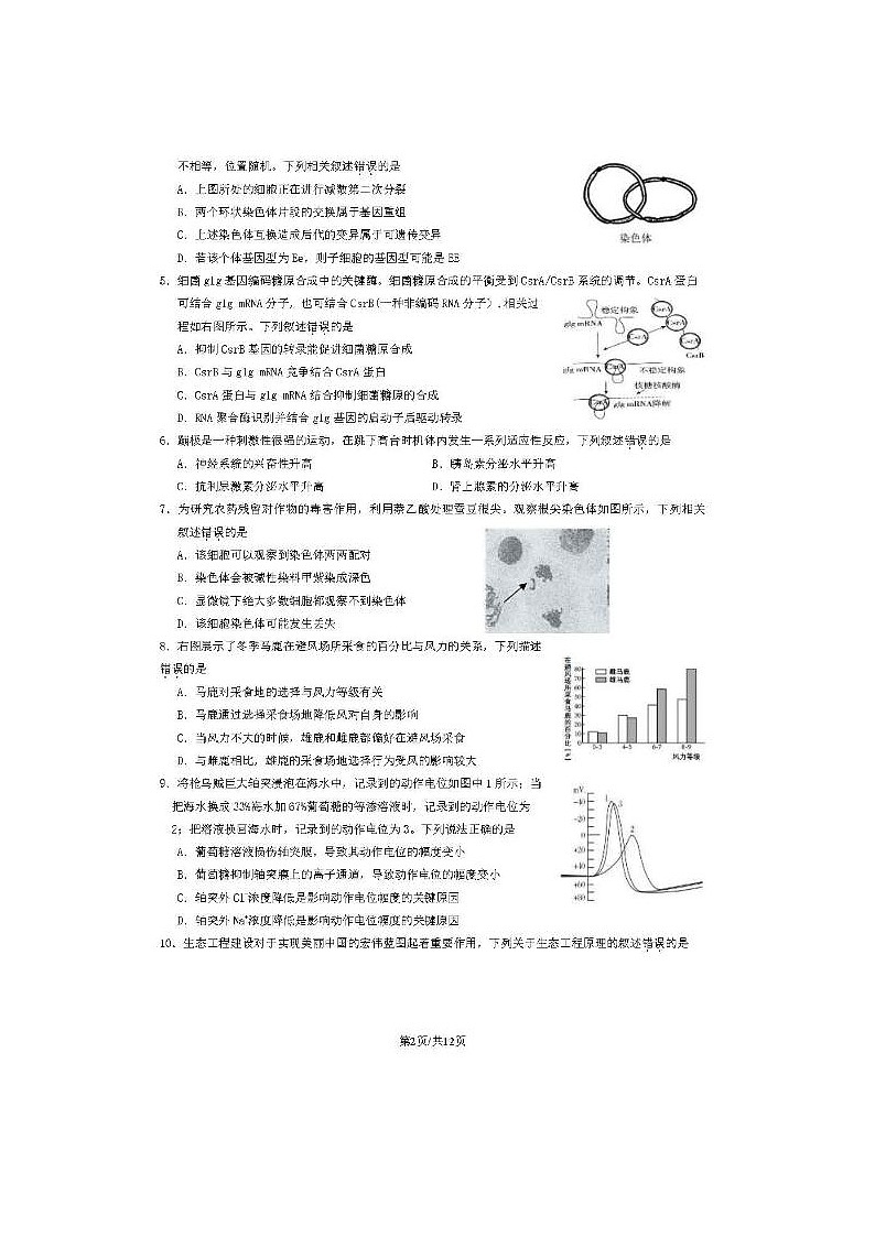 2024届北京延庆高三一模生物试题第2页