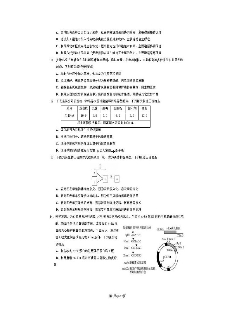 2024届北京延庆高三一模生物试题第3页