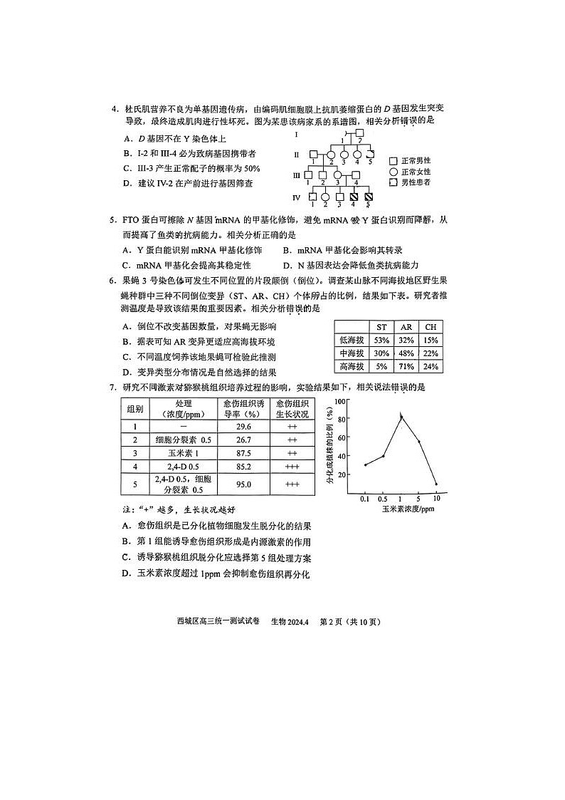2024届北京西城高三一模生物试题第2页
