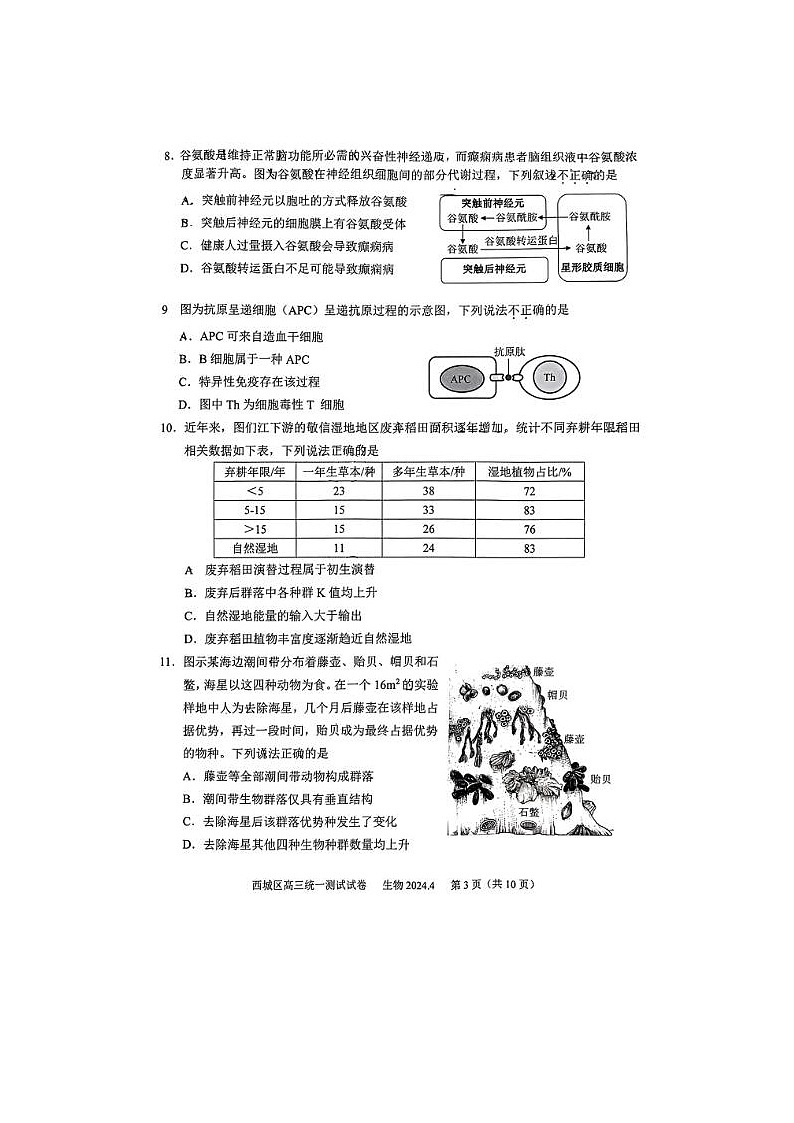 2024届北京西城高三一模生物试题第3页