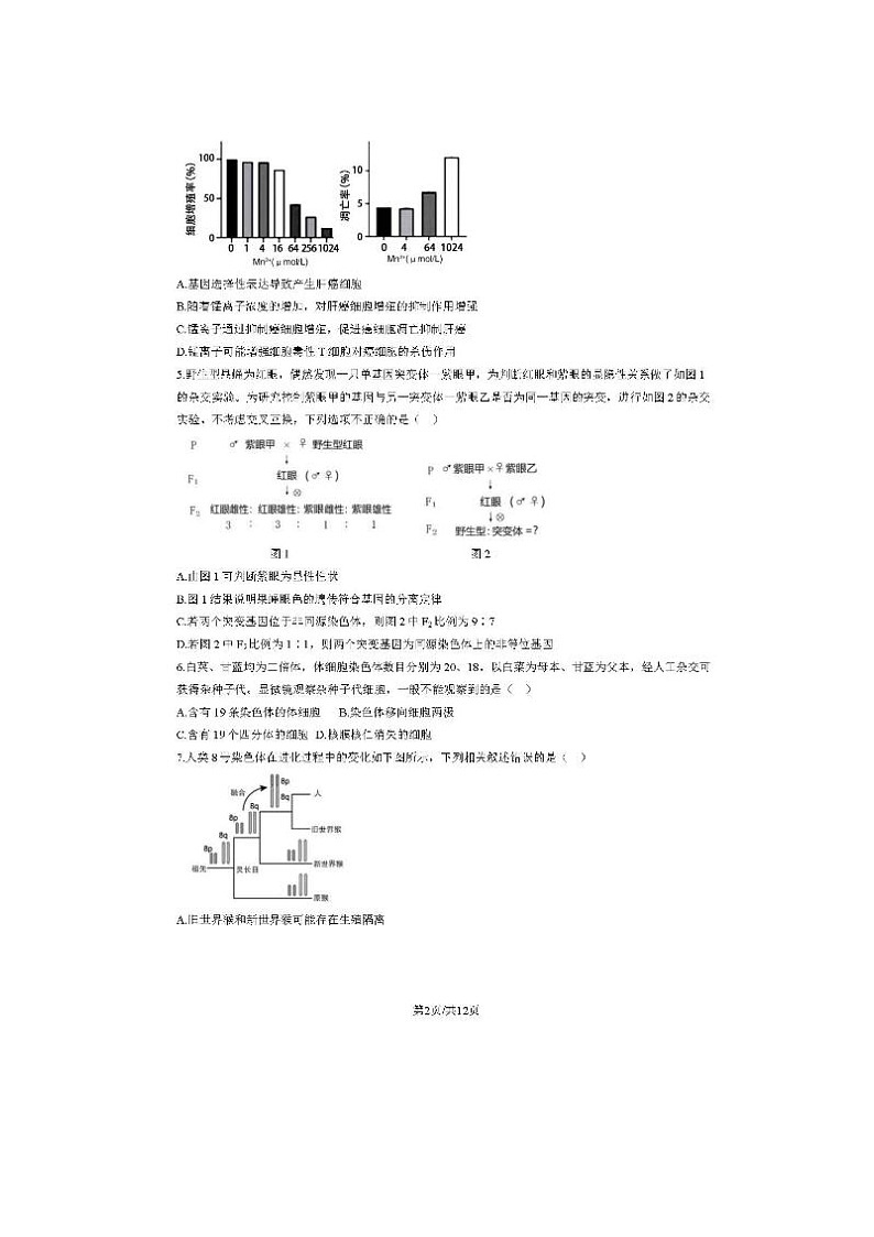 2024届北京房山高三一模生物试题第2页