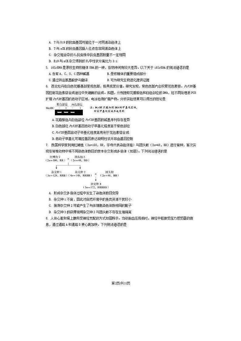 2024届北京东城高三一模生物试题第2页