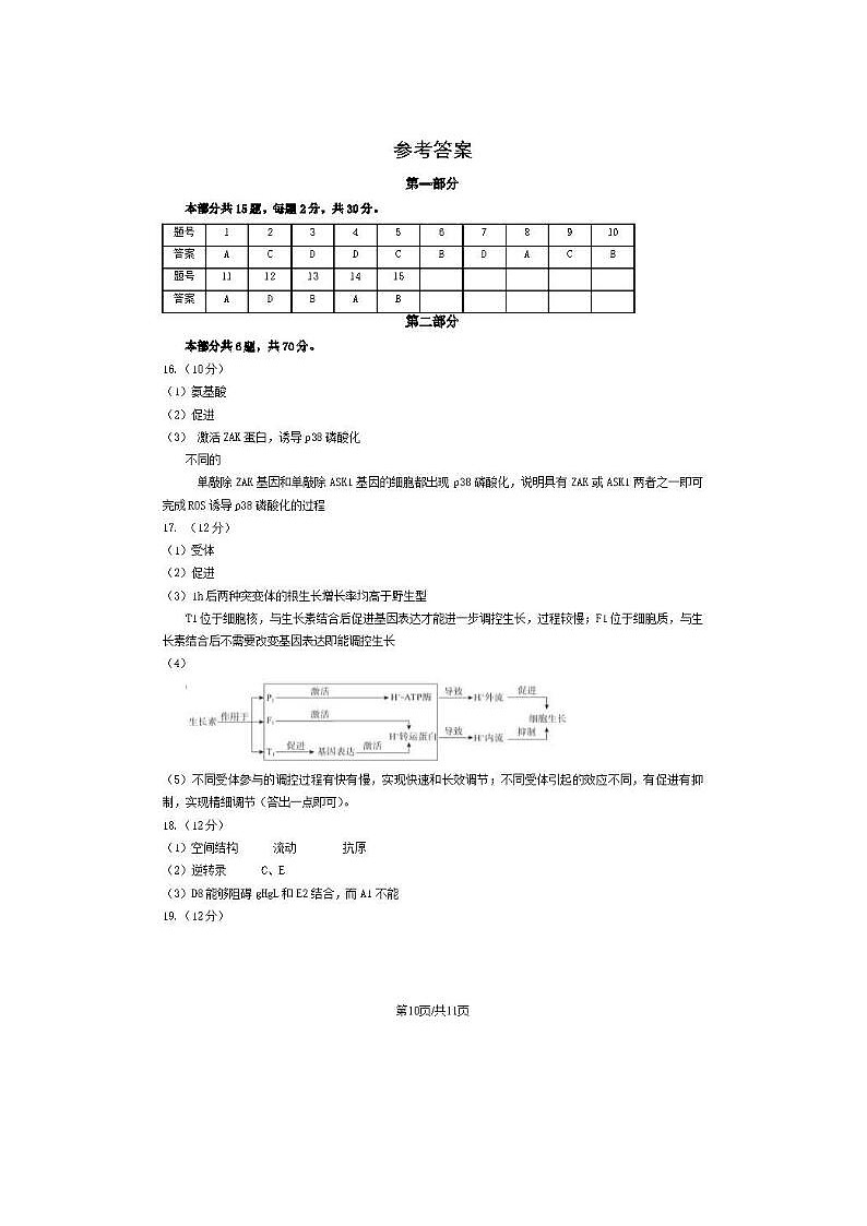 2024届北京东城高三一模生物试题答案第1页