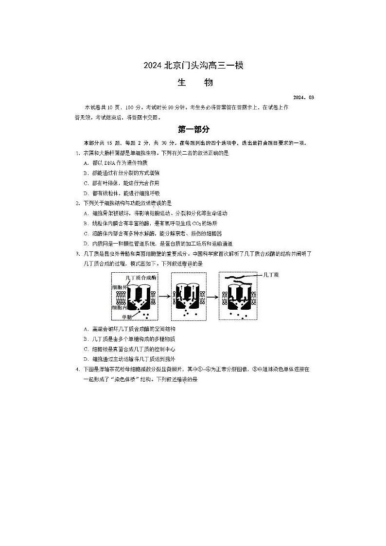 2024届北京门头沟高三一模生物试题第1页