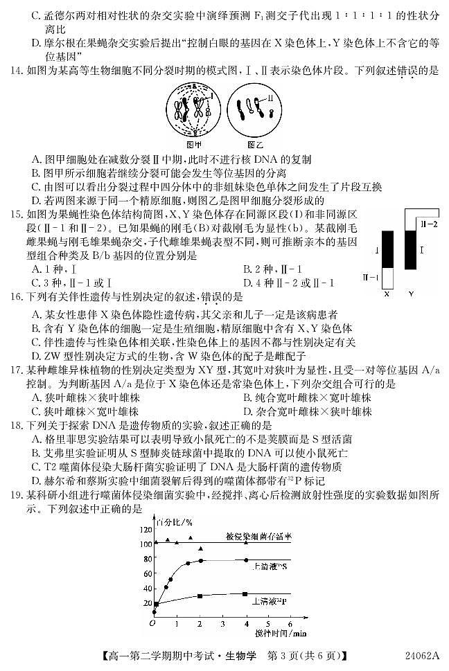广东省深圳市光明区光明中学2023-2024学年高一下学期期中考试生物试题03