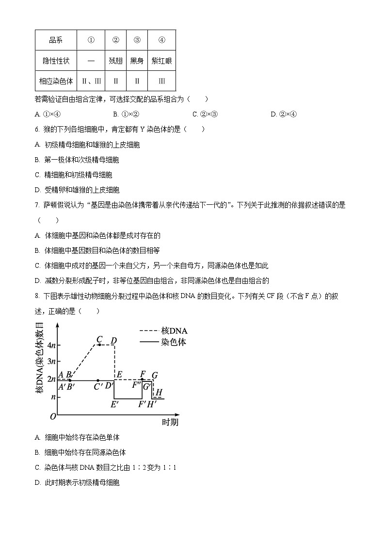 安徽省合肥市六校联盟2023-2024学年高一下学期4月期中考试生物试题（Word版附解析）02
