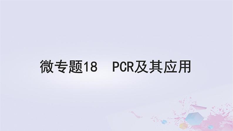 2025届高考生物一轮总复习选择性必修3第十单元生物技术与工程微专题18PCR及其应用课件01