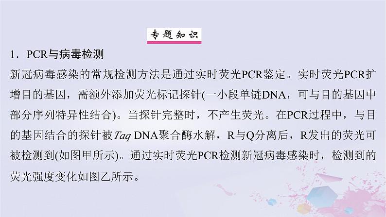 2025届高考生物一轮总复习选择性必修3第十单元生物技术与工程微专题18PCR及其应用课件02