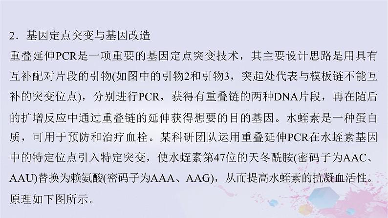 2025届高考生物一轮总复习选择性必修3第十单元生物技术与工程微专题18PCR及其应用课件04