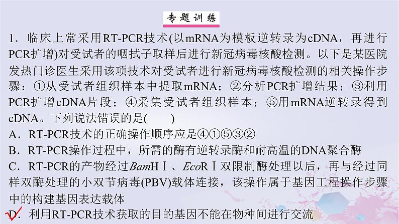 2025届高考生物一轮总复习选择性必修3第十单元生物技术与工程微专题18PCR及其应用课件06