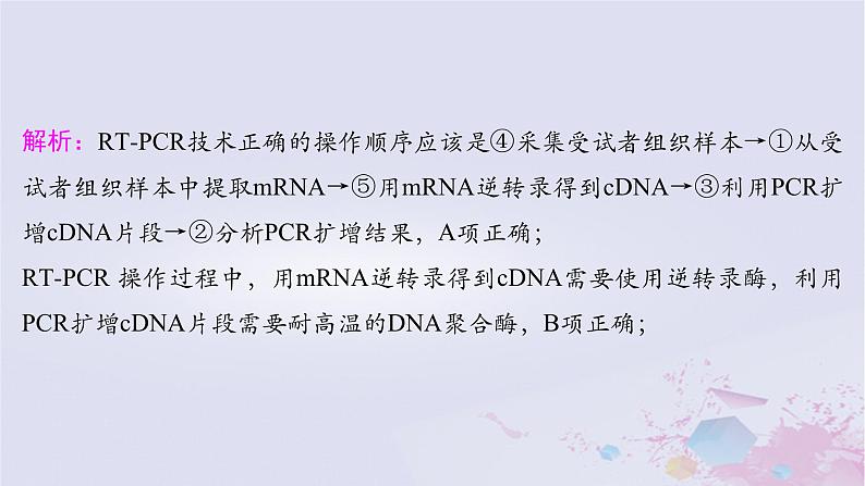 2025届高考生物一轮总复习选择性必修3第十单元生物技术与工程微专题18PCR及其应用课件07