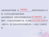 2025届高考生物一轮总复习选择性必修3第十单元生物技术与工程第52讲基因工程的应用和蛋白质工程课件