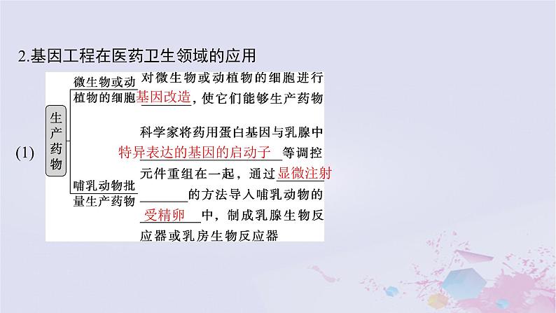 2025届高考生物一轮总复习选择性必修3第十单元生物技术与工程第52讲基因工程的应用和蛋白质工程课件第7页