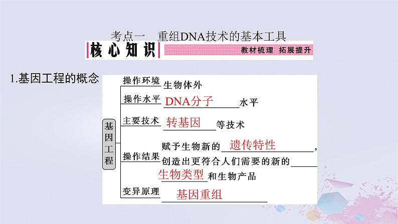 2025届高考生物一轮总复习选择性必修3第十单元生物技术与工程第51讲基因工程的基本工具和基本操作程序课件第4页