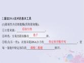 2025届高考生物一轮总复习选择性必修3第十单元生物技术与工程第51讲基因工程的基本工具和基本操作程序课件