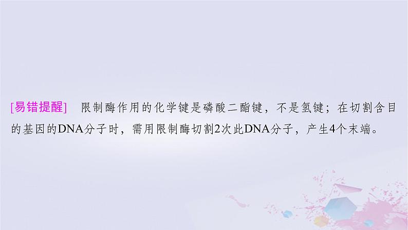 2025届高考生物一轮总复习选择性必修3第十单元生物技术与工程第51讲基因工程的基本工具和基本操作程序课件第7页