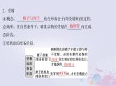 2025届高考生物一轮总复习选择性必修3第十单元生物技术与工程第50讲胚胎工程课件