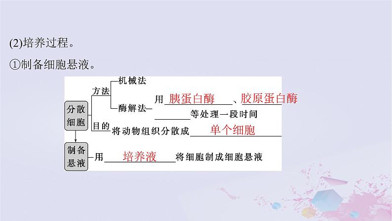 2025届高考生物一轮总复习选择性必修3第十单元生物技术与工程第49讲动物细胞工程课件第6页