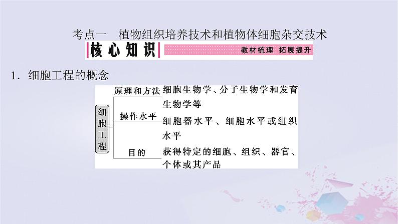 2025届高考生物一轮总复习选择性必修3第十单元生物技术与工程第48讲植物细胞工程课件第4页
