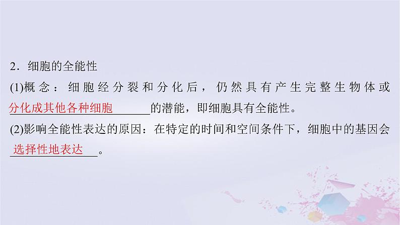 2025届高考生物一轮总复习选择性必修3第十单元生物技术与工程第48讲植物细胞工程课件第5页