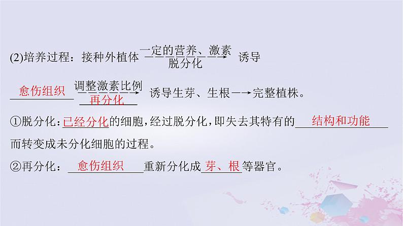 2025届高考生物一轮总复习选择性必修3第十单元生物技术与工程第48讲植物细胞工程课件第8页