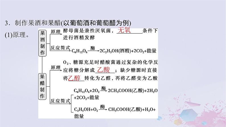 2025届高考生物一轮总复习选择性必修3第十单元生物技术与工程第47讲传统发酵技术的应用与发酵工程课件第8页