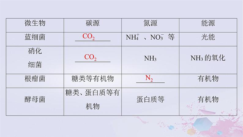 2025届高考生物一轮总复习选择性必修3第十单元生物技术与工程第46讲微生物的培养技术及应用课件第7页