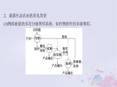 2025届高考生物一轮总复习选择性必修2第九单元生物与环境微专题15生态农业课件