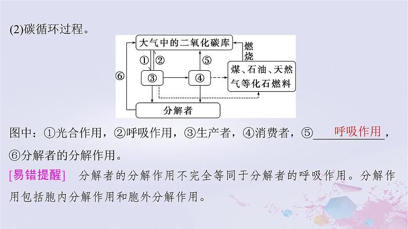 2025届高考生物一轮总复习选择性必修2第九单元生物与环境第44讲生态系统的物质循环信息传递及稳定性课件第5页