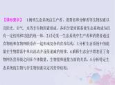 2025届高考生物一轮总复习选择性必修2第九单元生物与环境第43讲生态系统的结构与能量流动课件