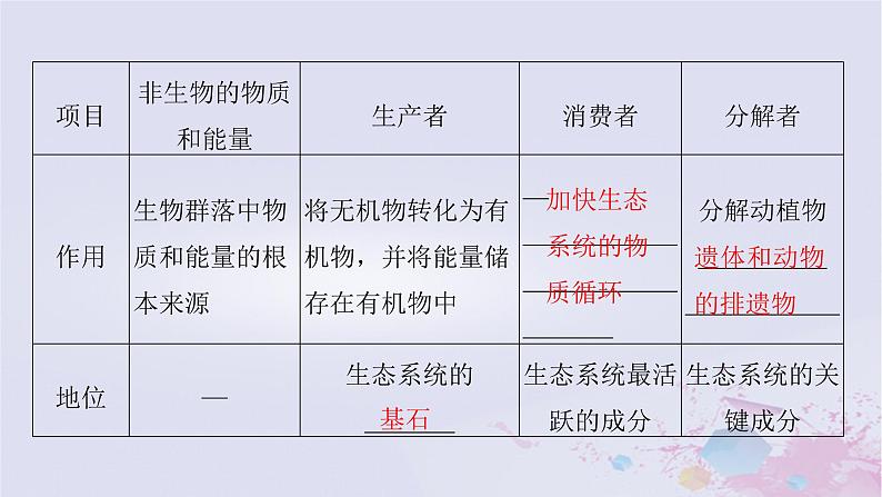 2025届高考生物一轮总复习选择性必修2第九单元生物与环境第43讲生态系统的结构与能量流动课件06