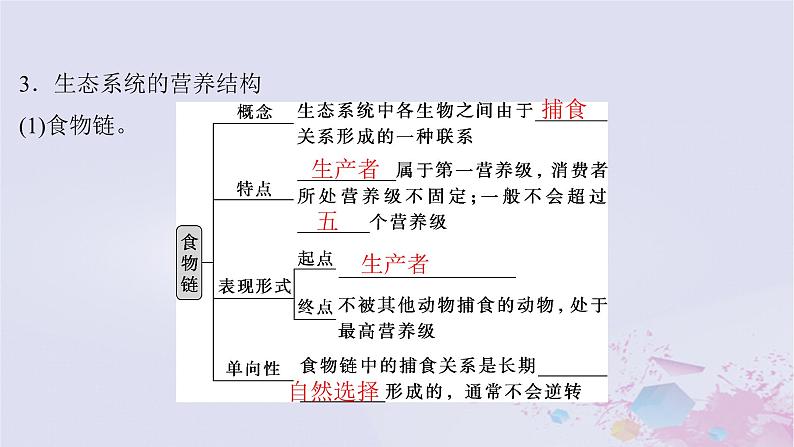 2025届高考生物一轮总复习选择性必修2第九单元生物与环境第43讲生态系统的结构与能量流动课件08